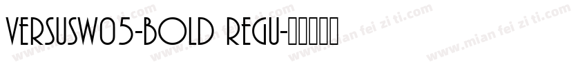 VersusW05-Bold Regu字体转换